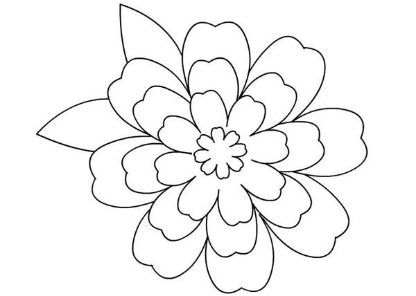 Coloriages Fleurs