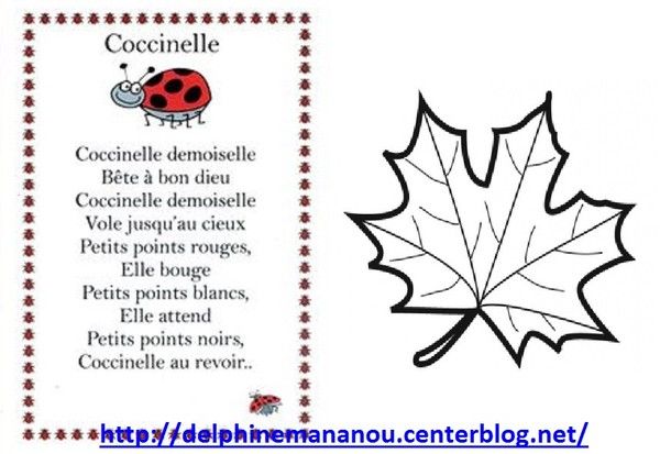 chansons coccinelle demoiselle