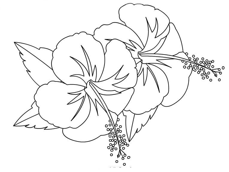 Coloriages Fleurs